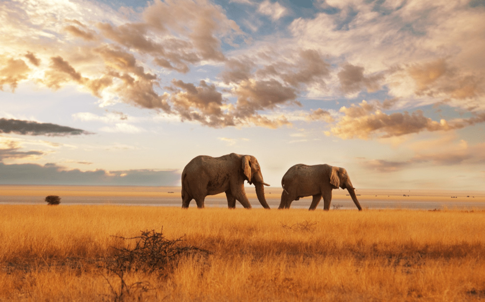 Luxury Offers Abercrombie & Kent